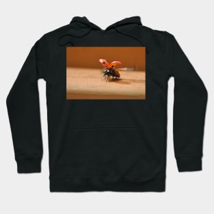 She's back the Ladybird has landed Hoodie